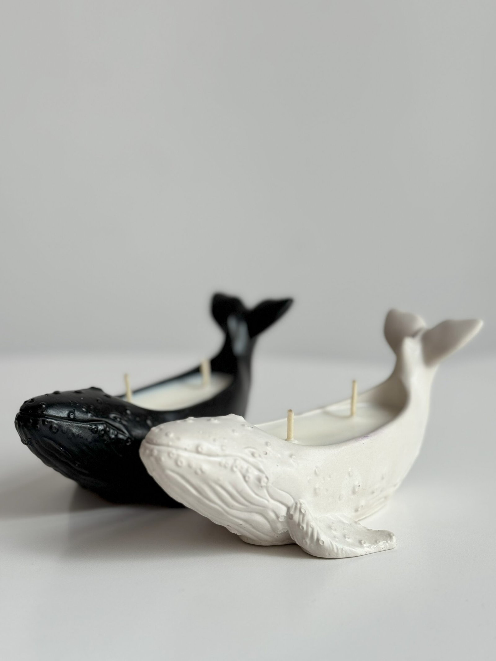 Wieloryb - obrazek 3