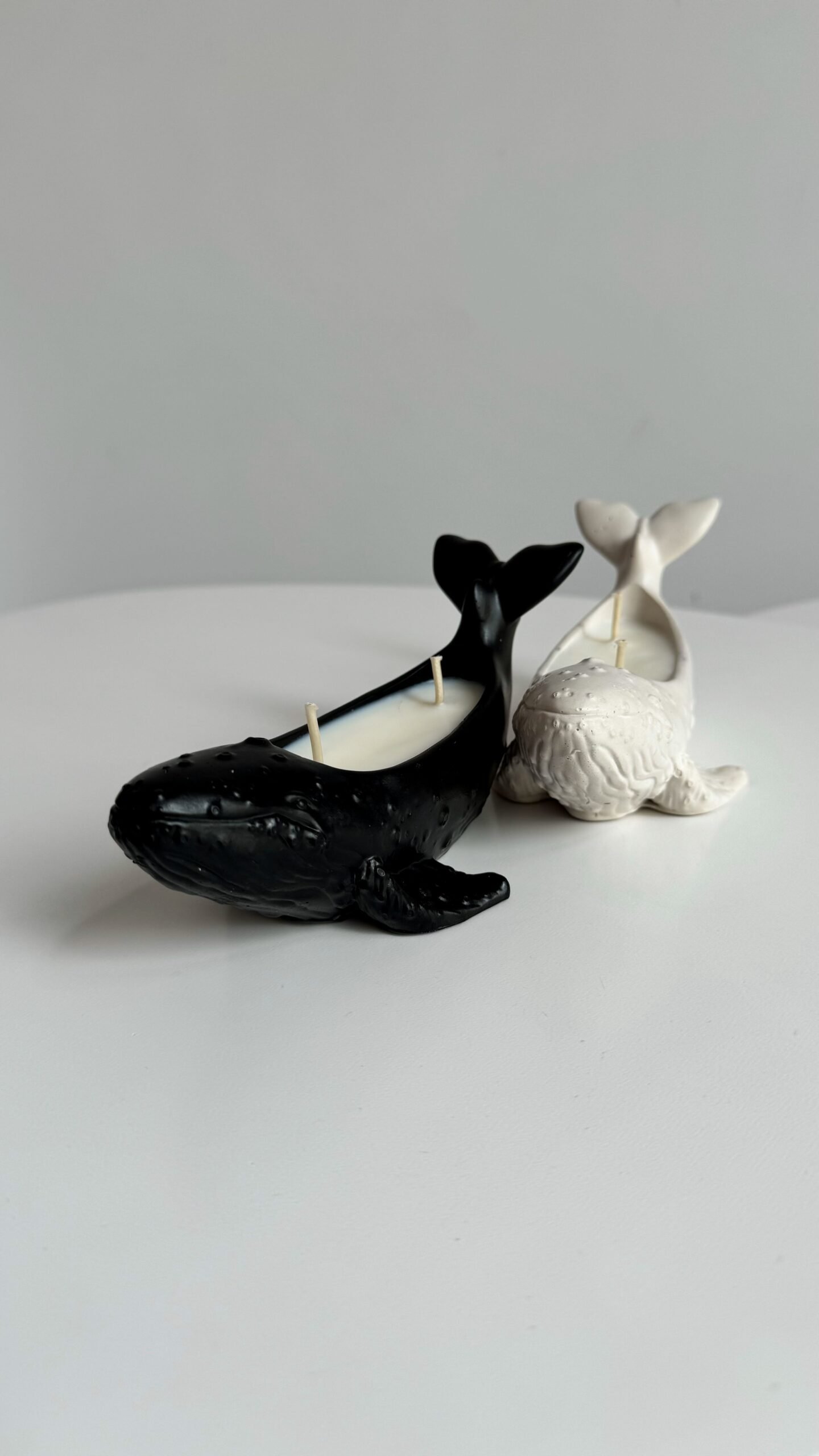 Wieloryb - obrazek 4